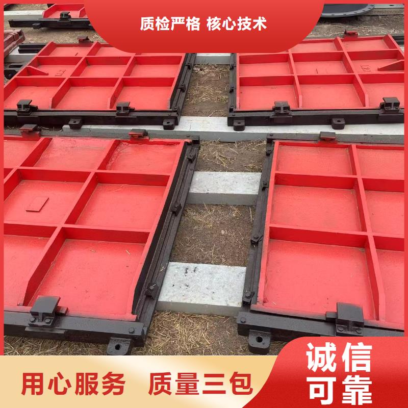 启闭机闸门-水电站启闭机闸门24小时售后服务
