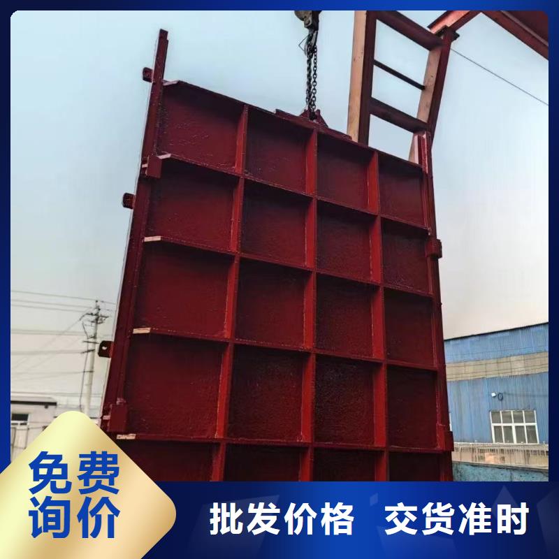 儋州市铸铁闸门-平面闸门带直联启闭机一站式解决方案