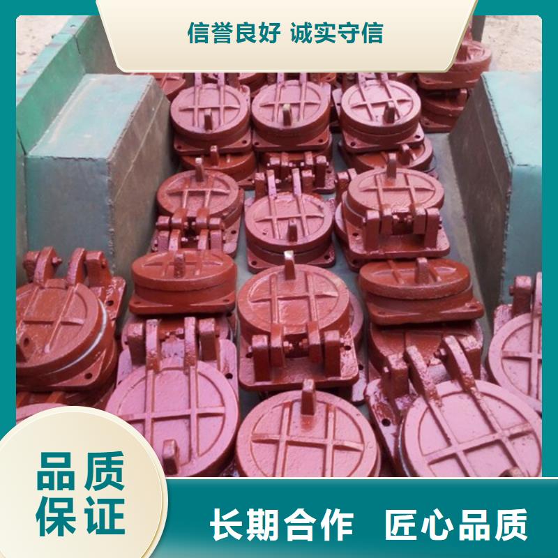 厂家经验丰富【瑞鑫】常年供应启闭机钢制拍门-保质