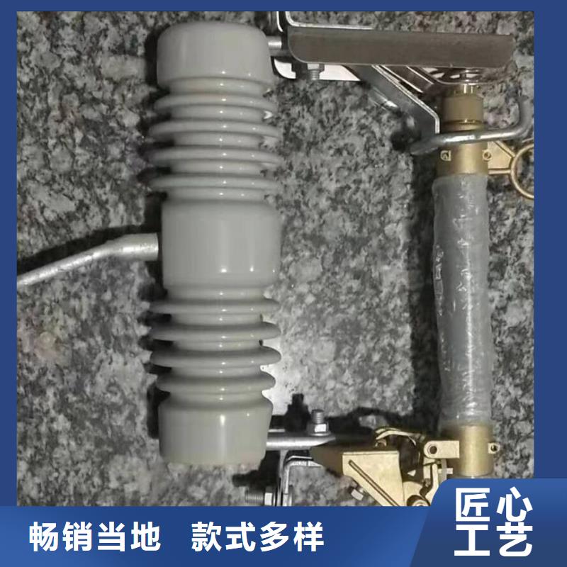 高压熔断器/RW5-66/200A