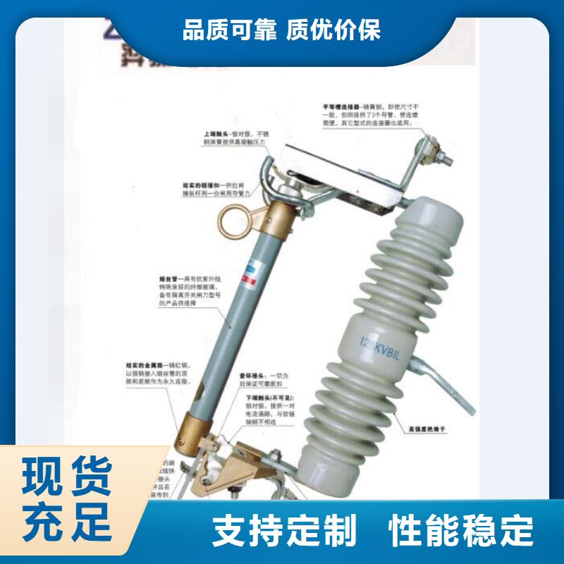 高压熔断器/RW5-66/200A