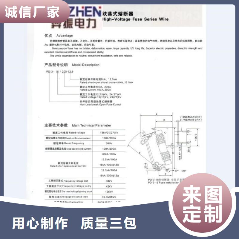 新闻资讯：
高压熔断器/RWJ-12/100