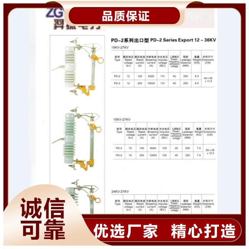 高压熔断器/HPRW12-12KV/100A