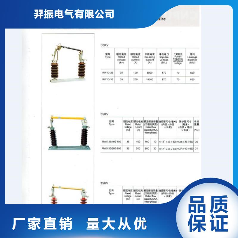 跌落式开关.跌落保险(H)RW15-12/100A