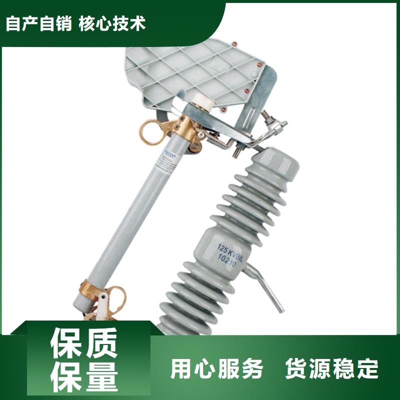 高压熔断器/RW5-66/200A