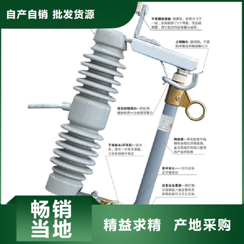 【跌落式开关】RW12-10KV/200A