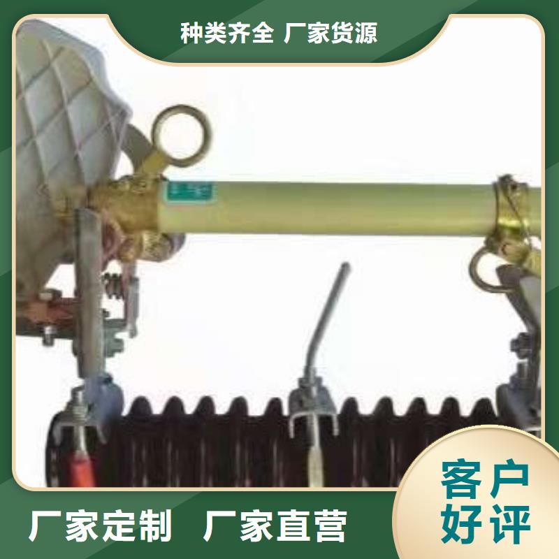 跌落式熔断器RW12-10KV/200A