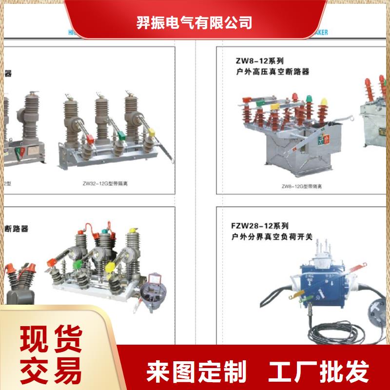 高压隔离开关绝缘子实力见证