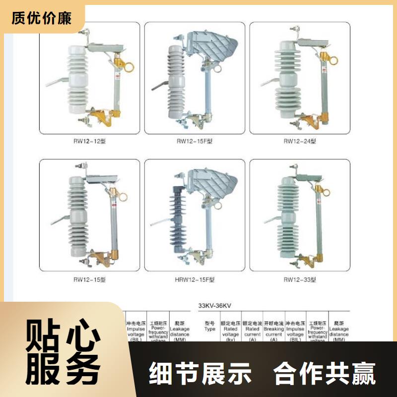 【高压隔离开关】绝缘子精心打造