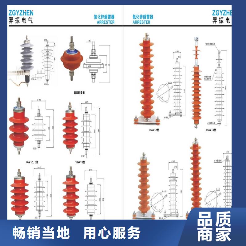 【避雷器】Y10W5-116/302