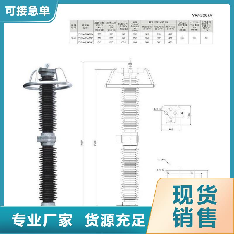 避雷器YH10W-51/134GY