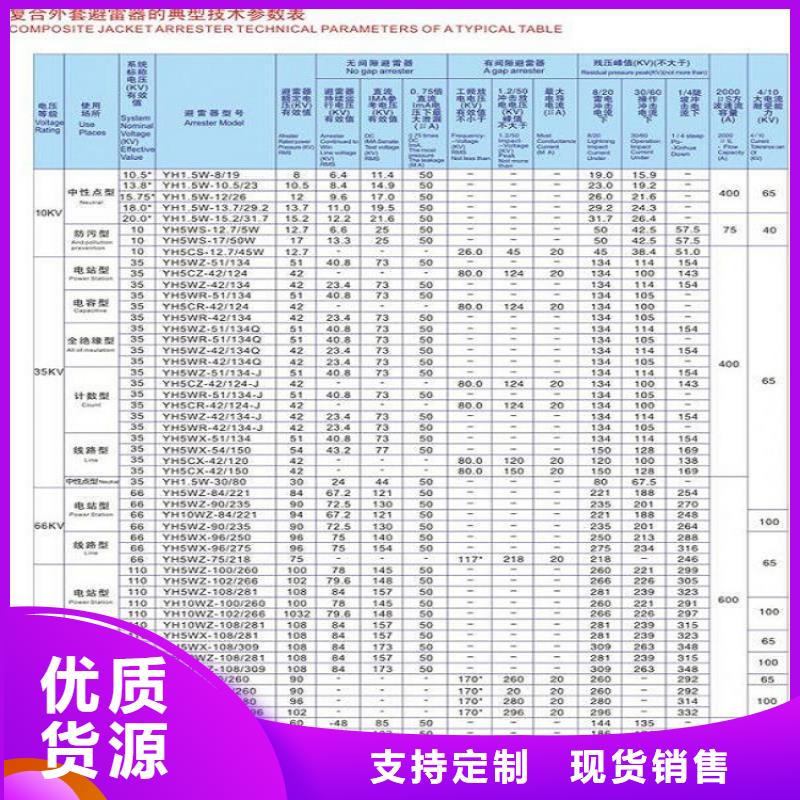 避雷器Y10W5-200/520W【羿振电气】