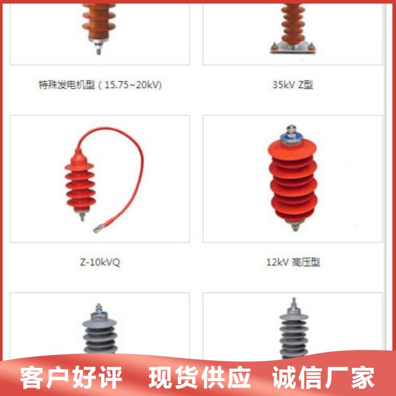 瓷外套金属氧化物避雷器Y10W-200/496浙江羿振电气有限公司