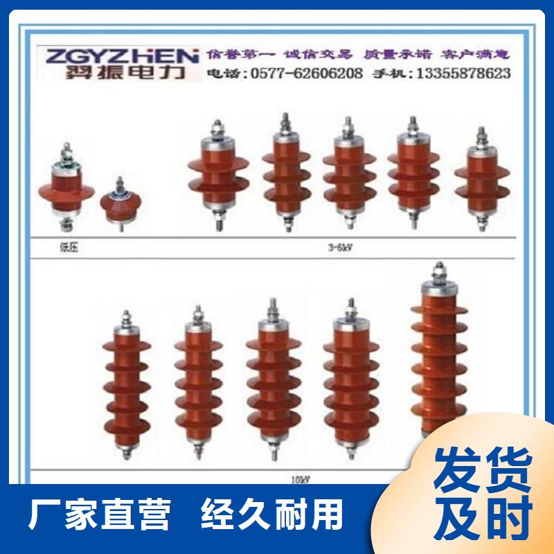 瓷外套金属氧化物避雷器Y10W-200/496浙江羿振电气有限公司