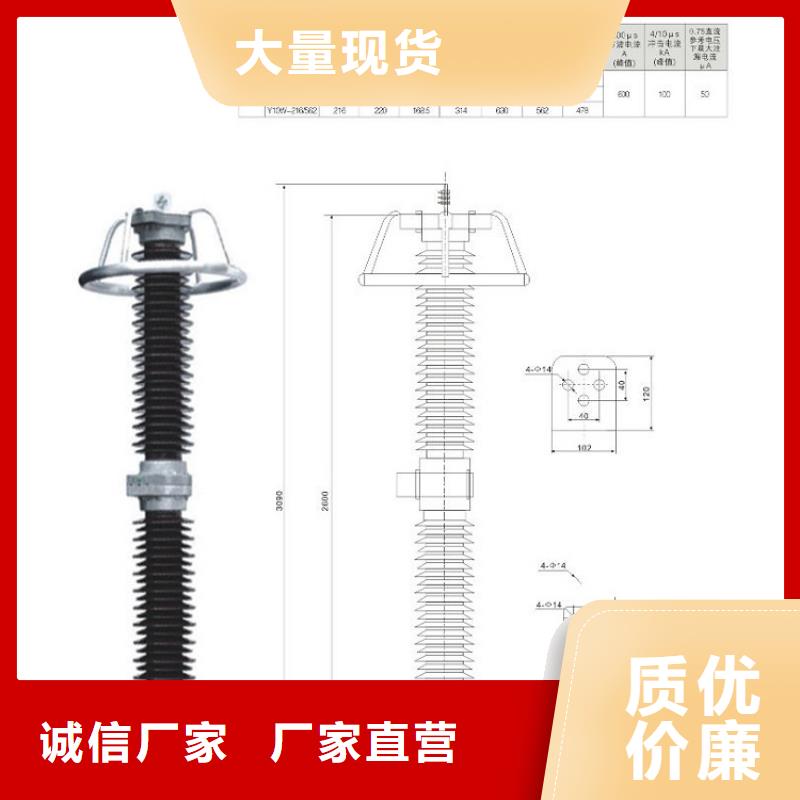 氧化锌避雷器Y10W5-116/302厂家现货