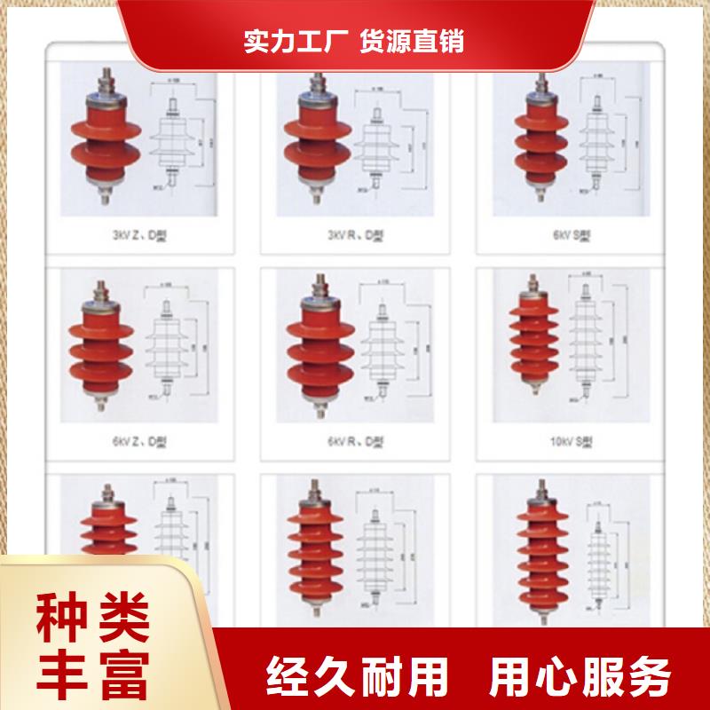 【避雷器】Y10W5-116/302