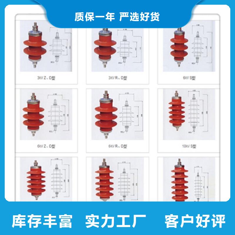 避雷器Y5W-100/290【羿振电气】