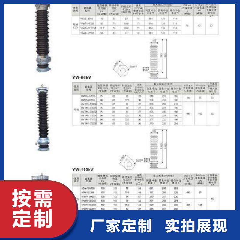 避雷器Y10W-100/260