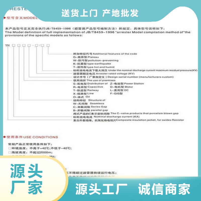 避雷器Y5WS1-17/50【羿振电气】