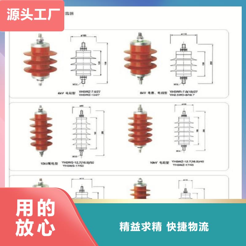 【羿振电气】避雷器YH5WD5-25/56.2L