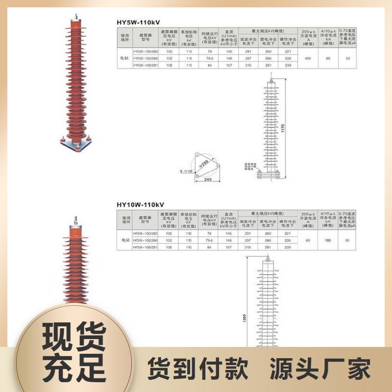 避雷器Y10W-102/266浙江羿振电气有限公司