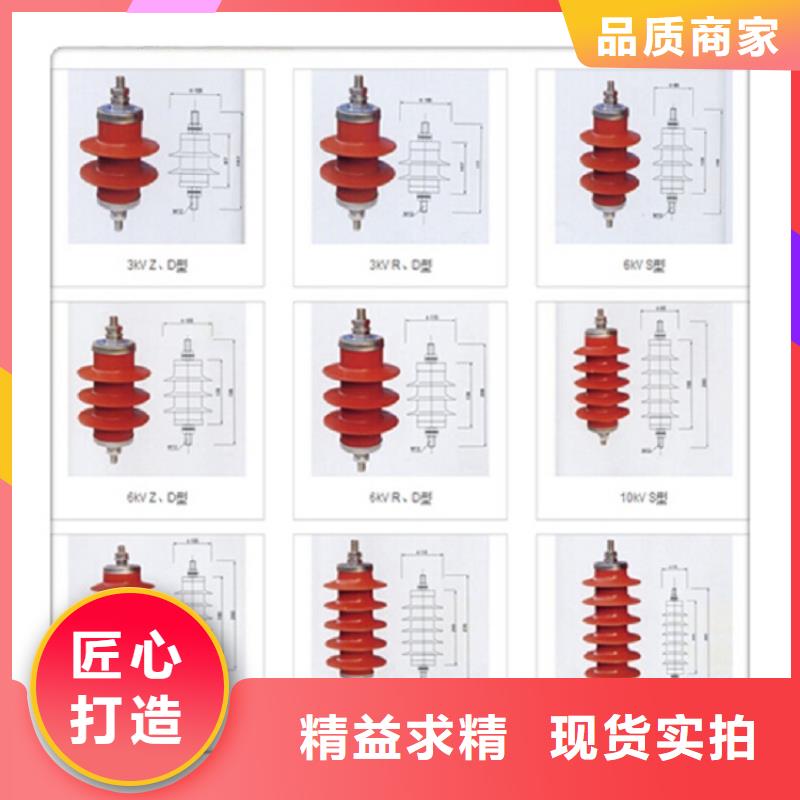 可卸式避雷器HYWS1(FHY5W-17/50浙江羿振电气有限公司