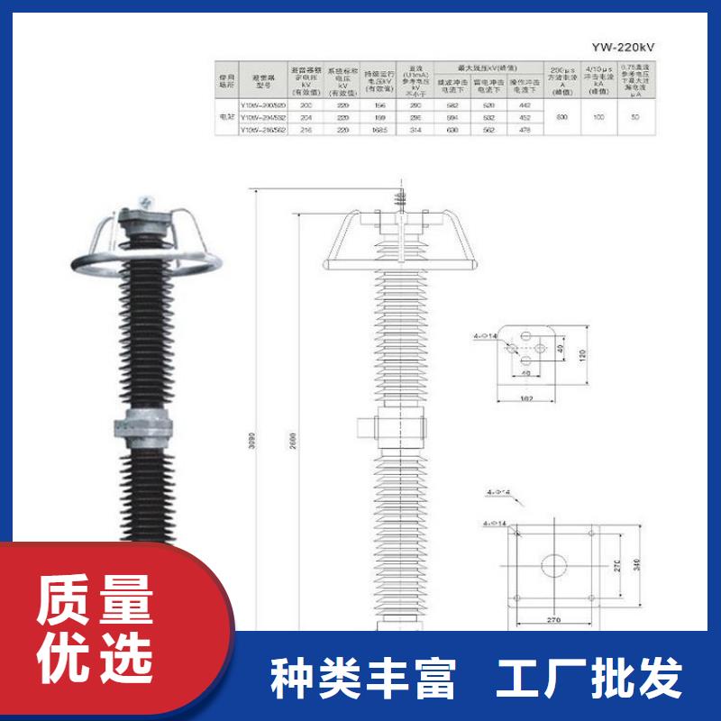 避雷器Y10W5-54/130