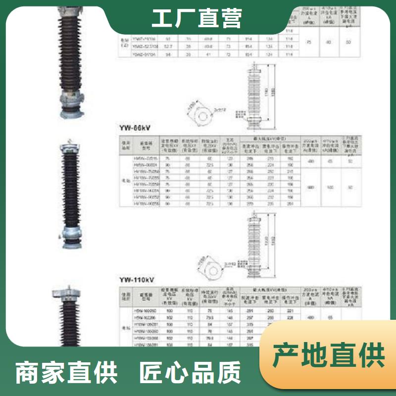 避雷器Y5WZ1-51/134【羿振电气】