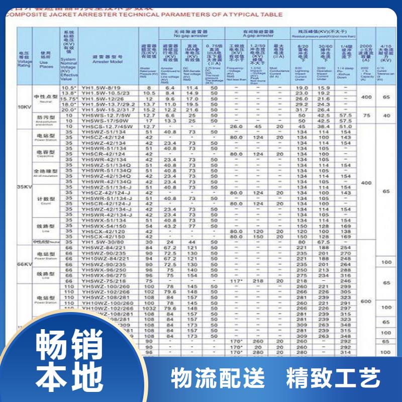 避雷器YH10CX4-90/260【羿振电力】