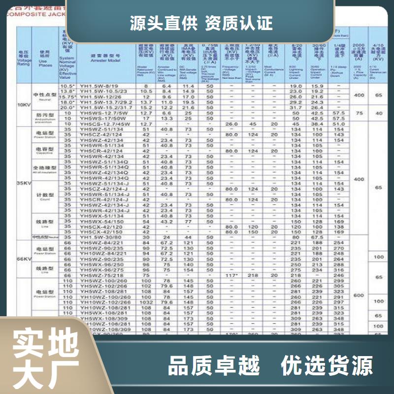 避雷器YH5WS5-10/28【羿振电气】