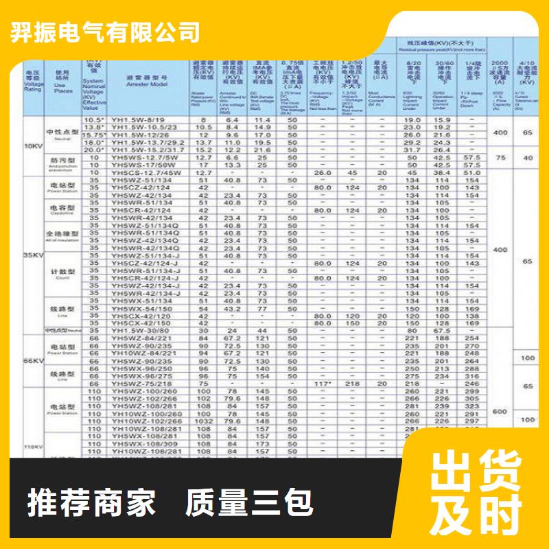 金属氧化物避雷器HY10WZ-51/134G【羿振电气】