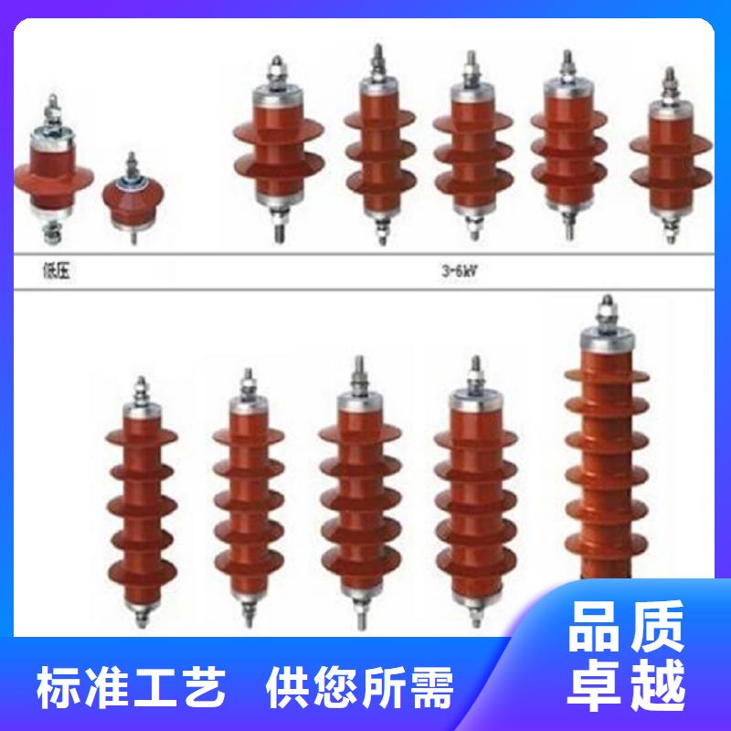 【羿振电气】避雷器YIW-7.6/19