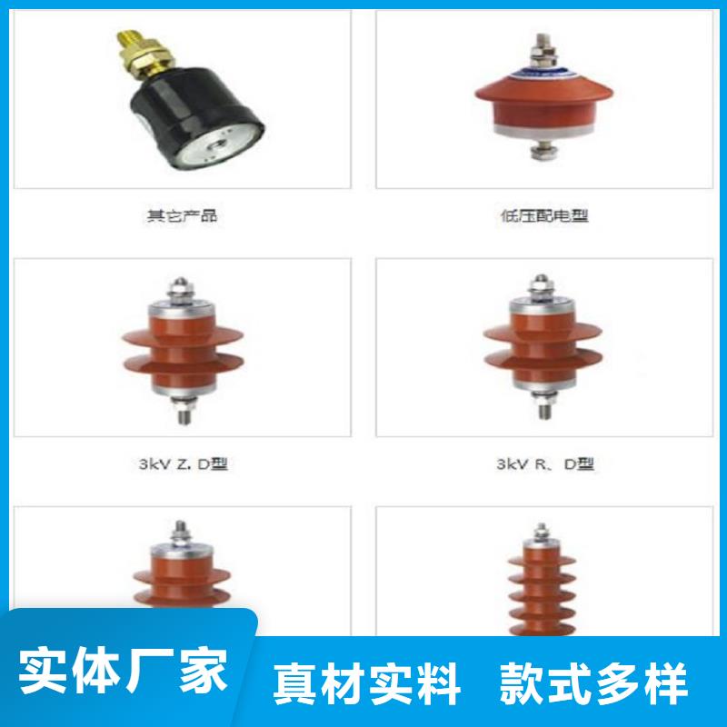 避雷器Y10W1-102/266【羿振电气】