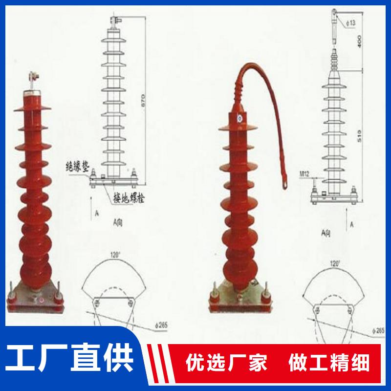 金属氧化物避雷器Y10W-102/266浙江羿振电气有限公司