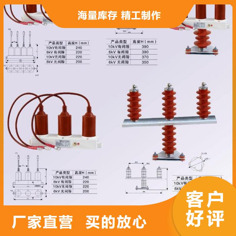 【羿振电力牌】过电压保护器TBP-C-42F/310