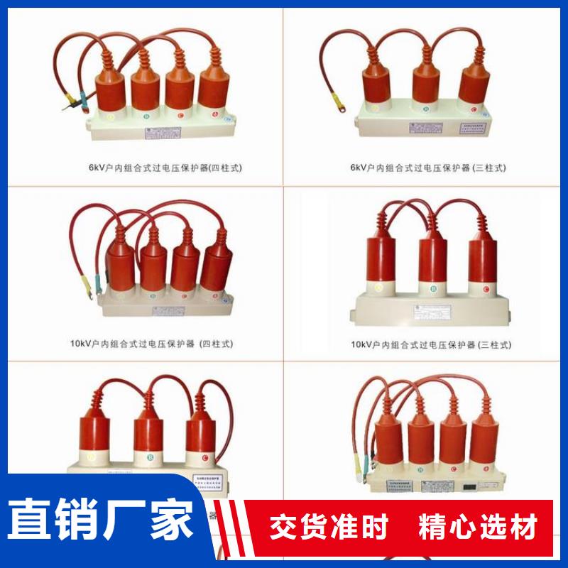 过电压保护器(组合式避雷器)TBP-A-6.3/131-J