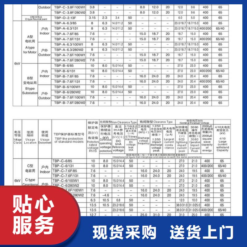 【过电压保护器】TBP-C-42F/400W1