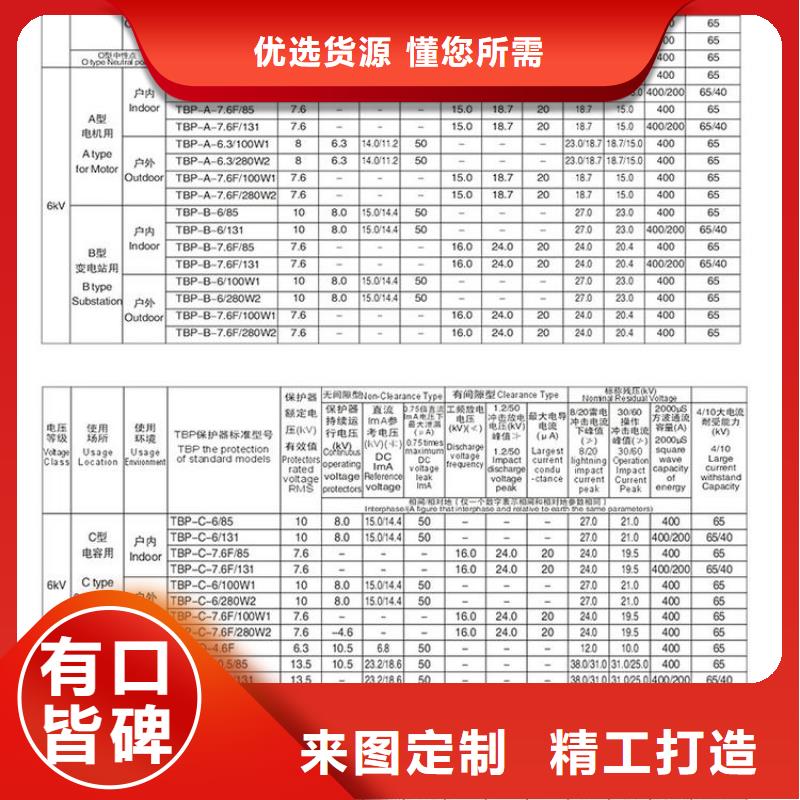 保护器(组合式避雷器)TBP-B-42F/400W