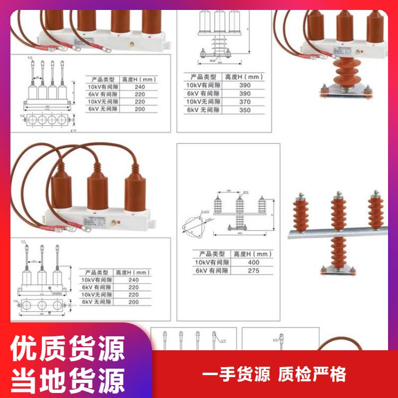 【羿振电力牌】过电压保护器TBP-B-12.7F/85