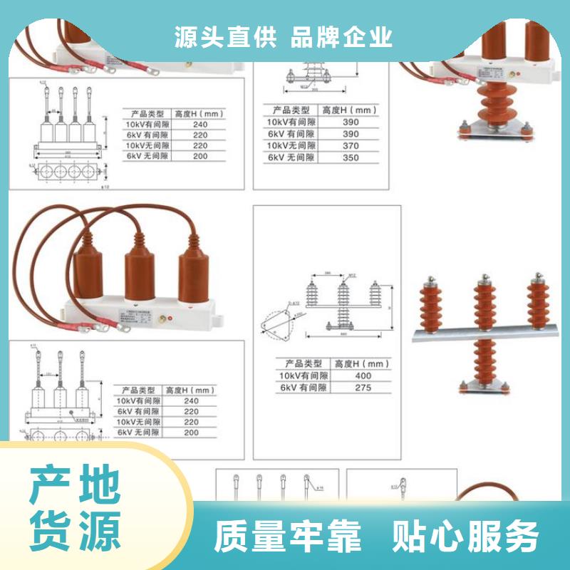 〖过电压保护器〗TBP-C-6.3/85质量放心