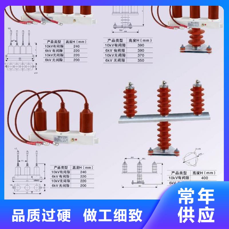 【羿振电力牌】过电压保护器TBP-B-12.7F/85-J