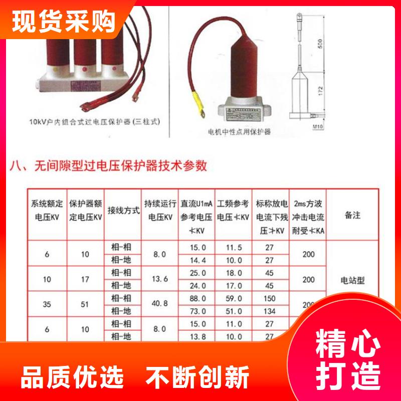 【组合式避雷器】TBP-C-12.7/150