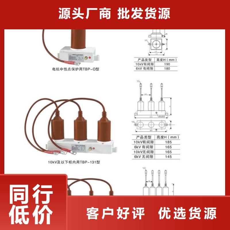 【过电压保护器/避雷器】TBP-A-6.3/85