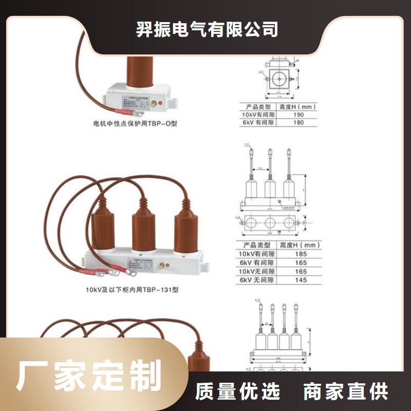 过电压保护器(组合式避雷器)TBP-C-42F/280-J