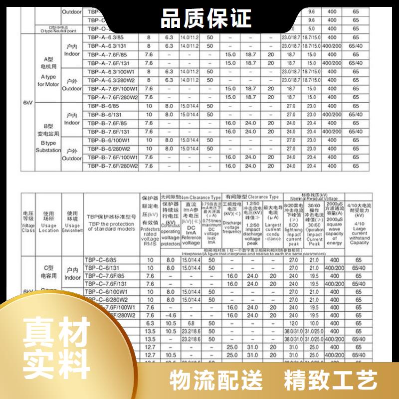 〖过电压保护器〗TBP-B-42/400W工厂直销