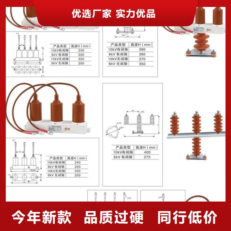 保护器(组合式避雷器)TBP-W-C/10-T组合过电压保护器