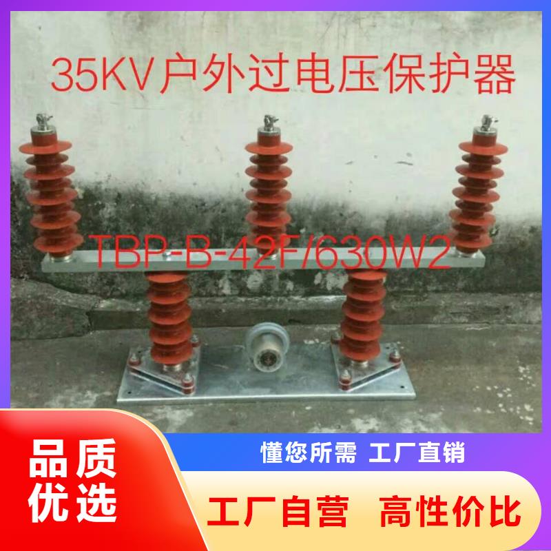 〖过电压保护器〗RY-GDY2-B/3组合过电压保护器放心购买