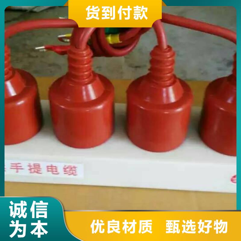 过电压保护器(组合式避雷器)TBP-A-12.7/85