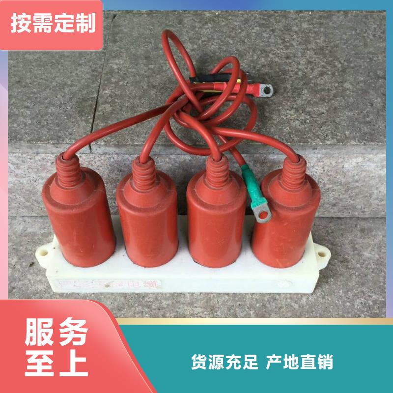 过电压保护器(组合式避雷器)SYB-A-7.6KV/150