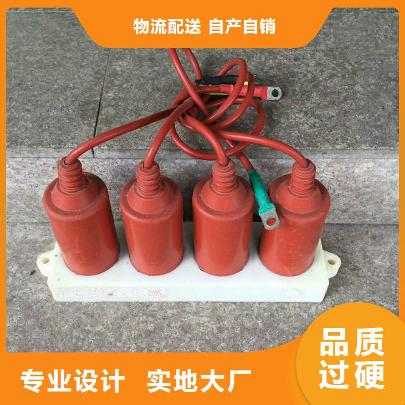 保护器(组合式避雷器)TBP-W-C/10-T组合过电压保护器